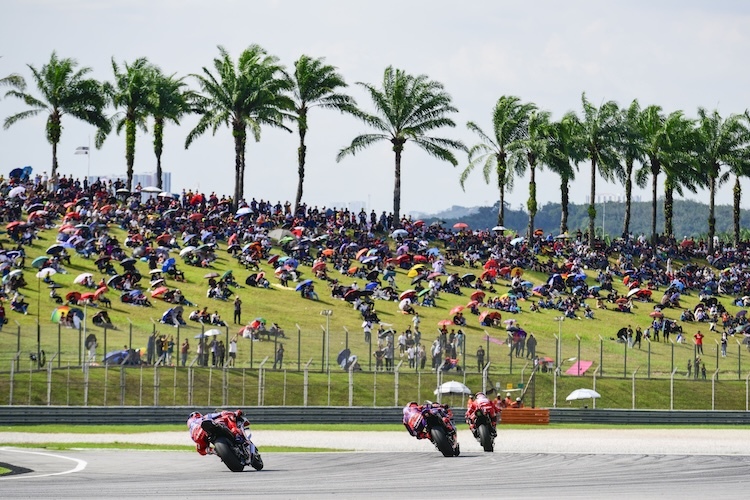 Pecco Bagnaia, Jorge Martin, Marc Márquez