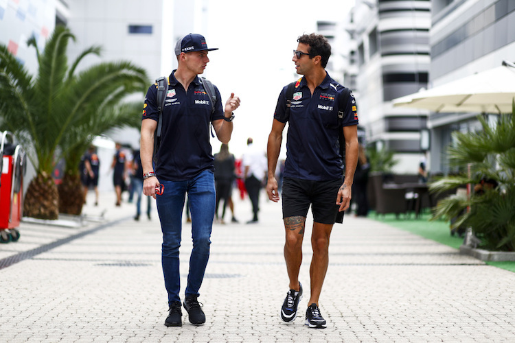 Max Verstappen und Daniel Ricciardo