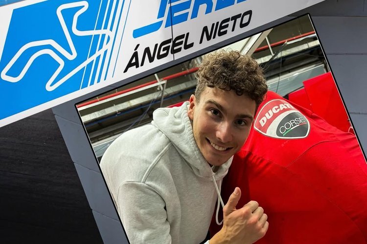 Go-Eleven-Mit-Baldassarri-zur-ck-zu-den-Wurzeln