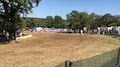 Motocross-Gespann-WM 2016 Roggenburg - Rennen 1 Start