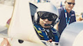 Air Race 2018 Abu Dhabi - Erster Challenger Class Sieg für Florian Bergér
