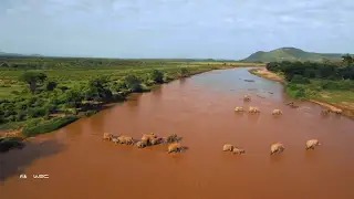 WRC 2021 Kenia - Highlights Shakedown