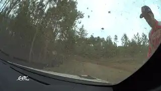 ERC 2021 Fafe - Dani Sordo Crash Etappe 8