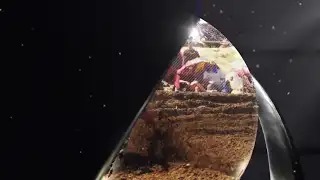 Supercross-WM 2026 - Der Kalender